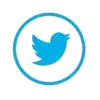 Twitter Icon - ADMIRE Digital Marketing Institute
